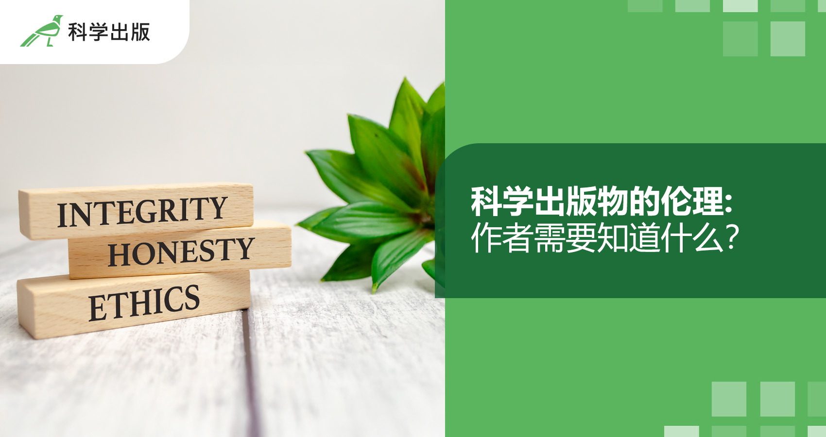 科学出版物的伦理: 作者需要知道什么？