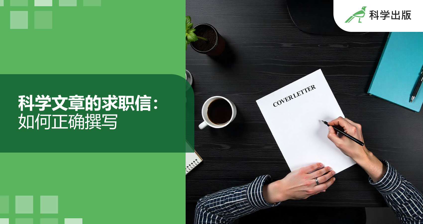 科学文章的求职信：如何正确撰写