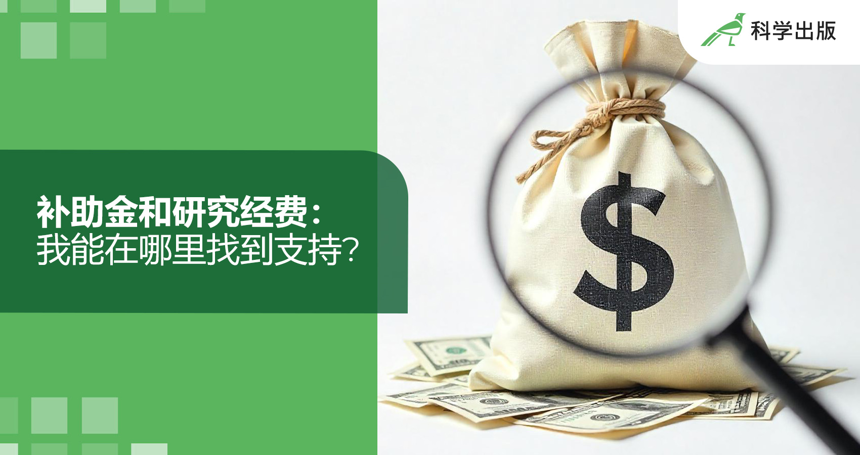 补助金和研究经费：我能在哪里找到支持？