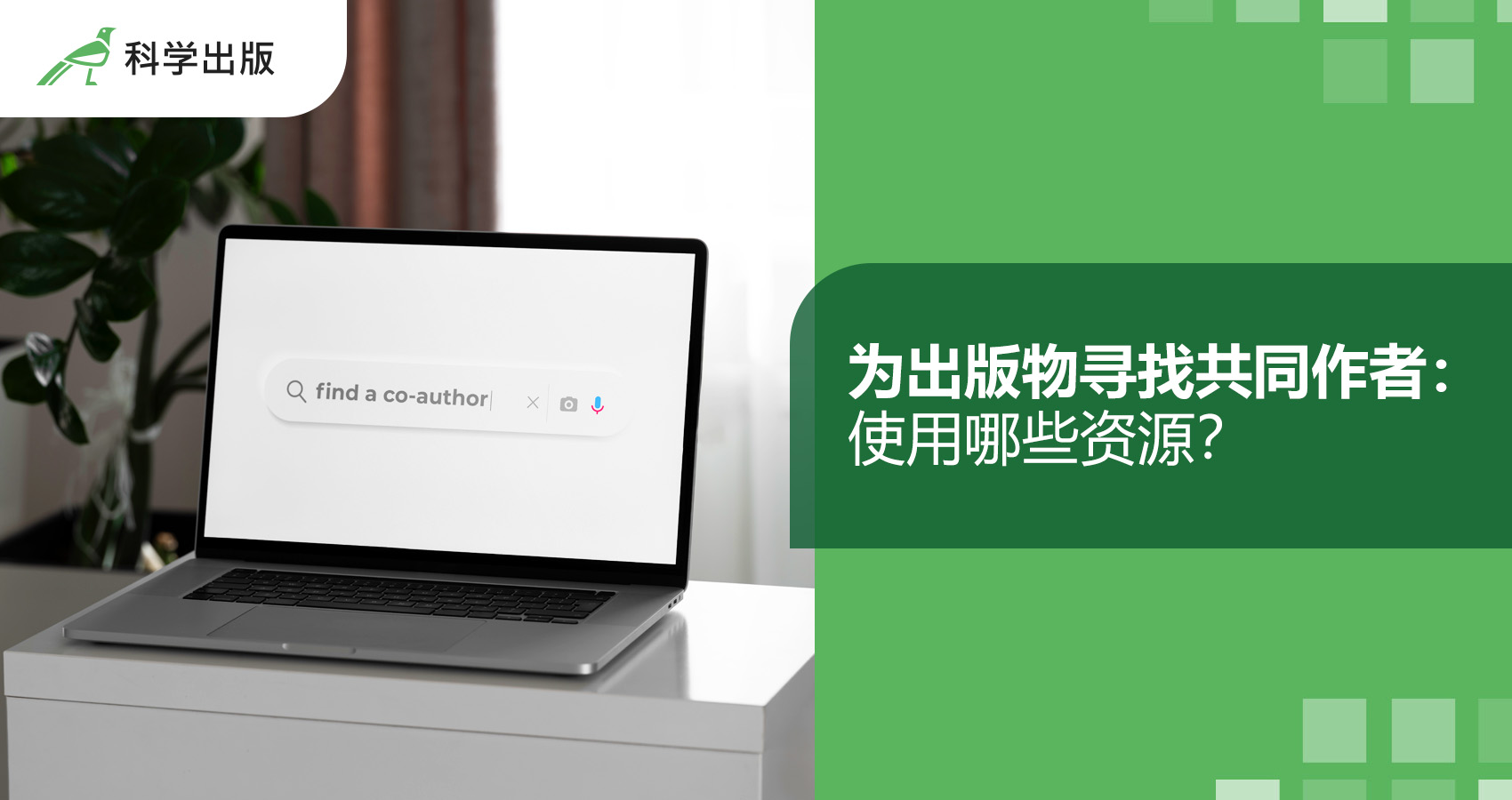 为出版物寻找共同作者：使用哪些资源？