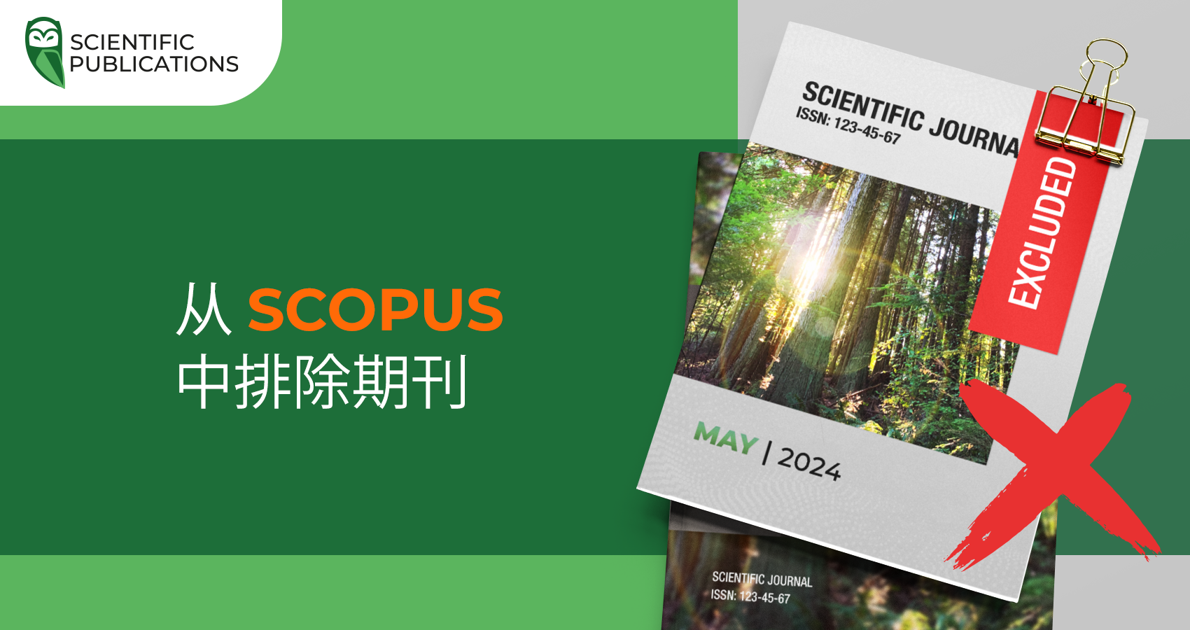2024 年 5 月 Scopus 排除的期刊