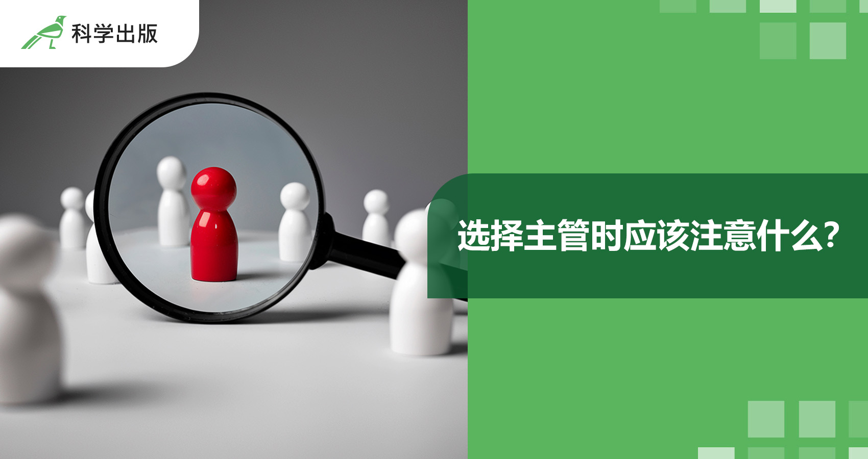 选择主管时应该注意什么？