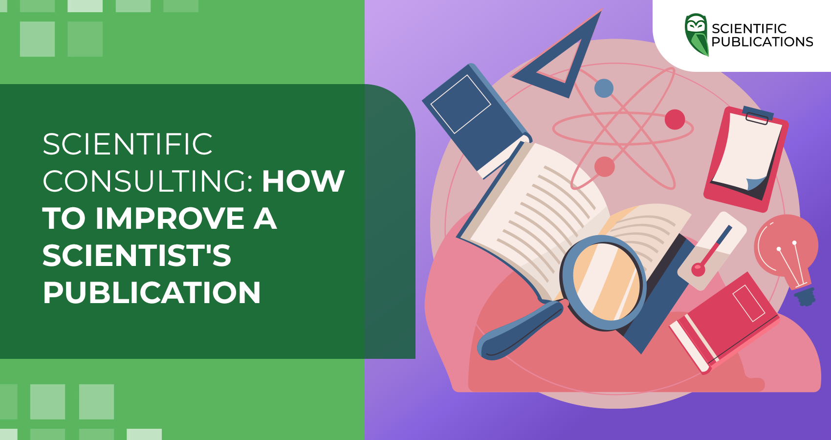 Scientific Consulting: How to Improve a Scientist's Publication