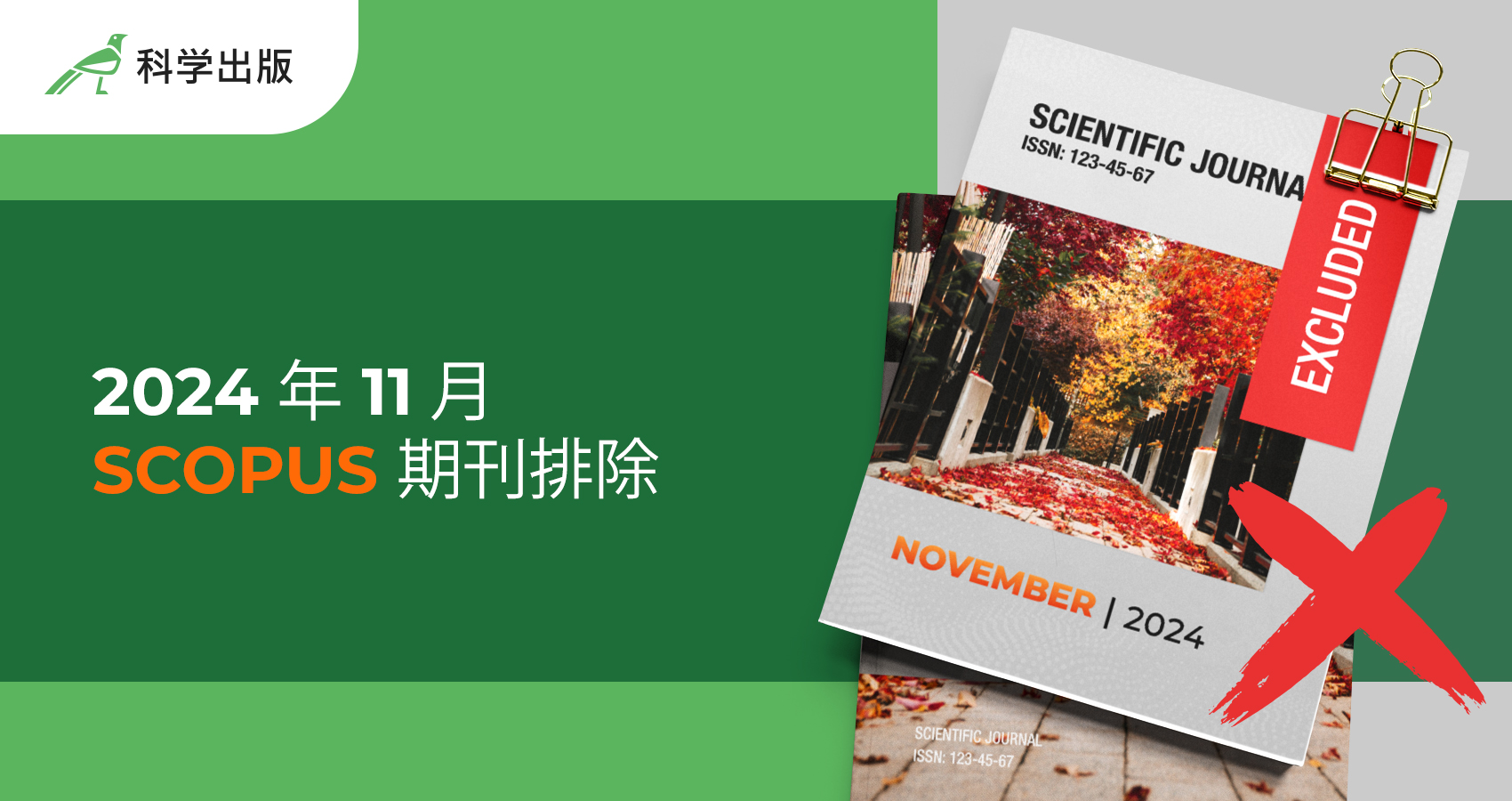 2024 年 11 月 Scopus 期刊排除