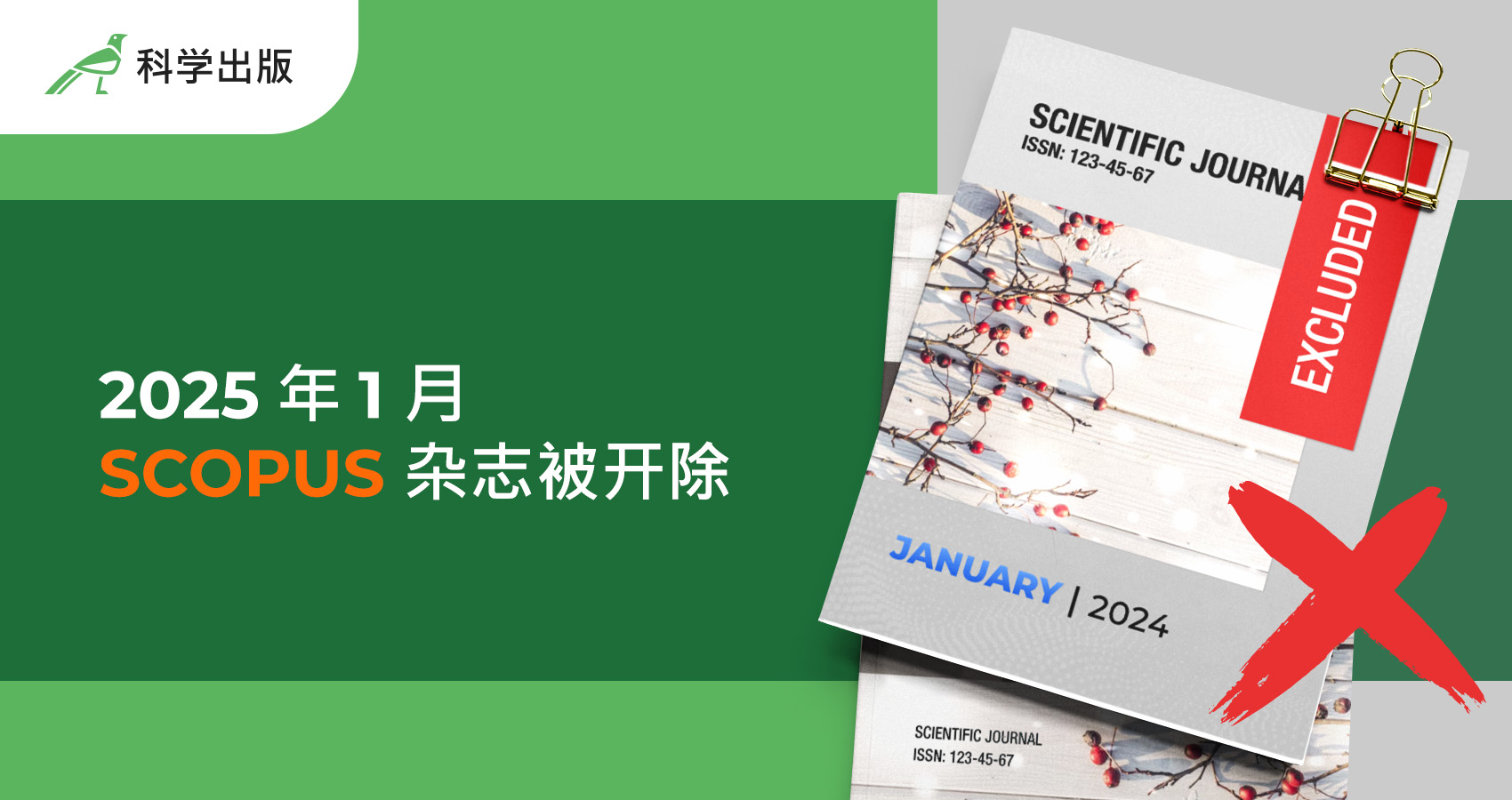 2025 年 1 月 Scopus 杂志被开除