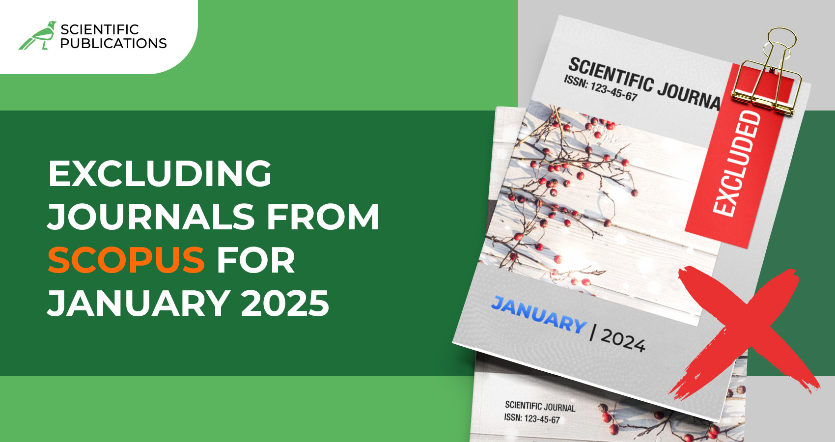 Excluding journals from Scopus for January 2025