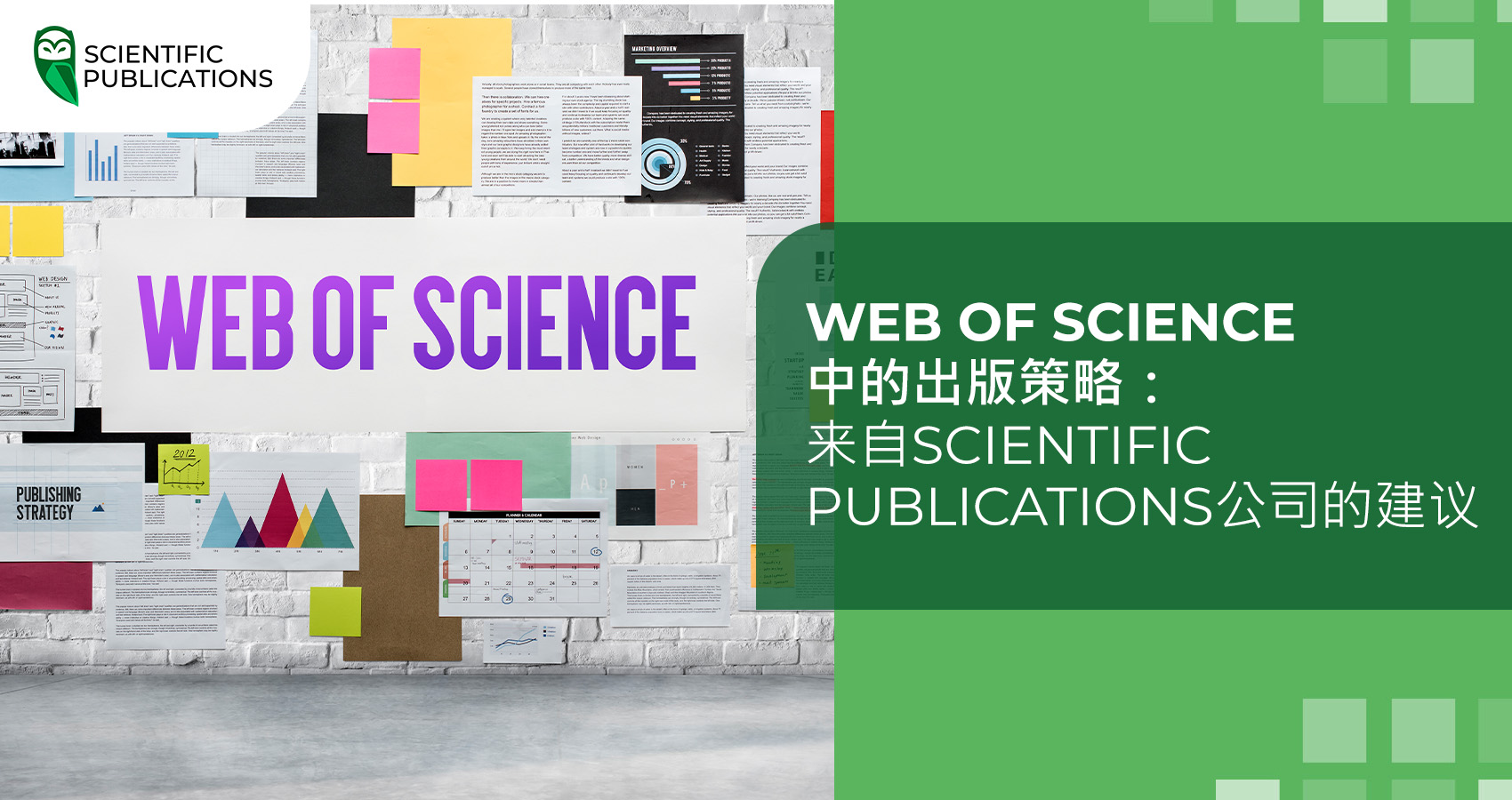 Web of Science 中的出版策略:来自Scientific Publications公司的建议